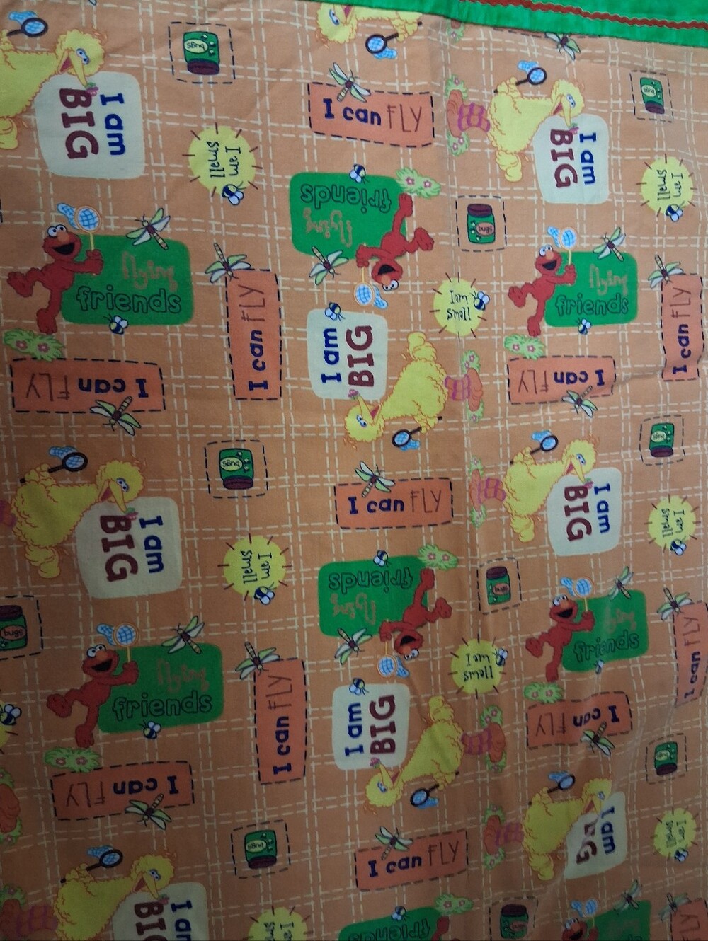 Sesame Street Standard Size Pillowcase
